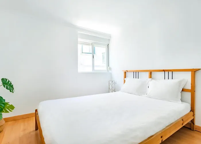 Apartment Sao Jose 2br @ Center